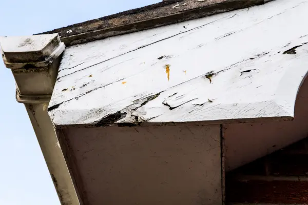 Comprehensive Fascia Inspection