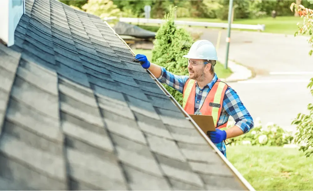 Professional roofing services