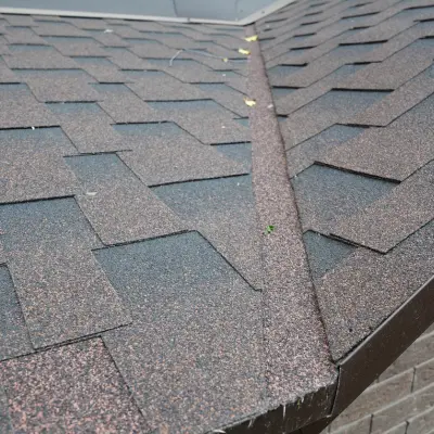 Sealing and Waterproofing